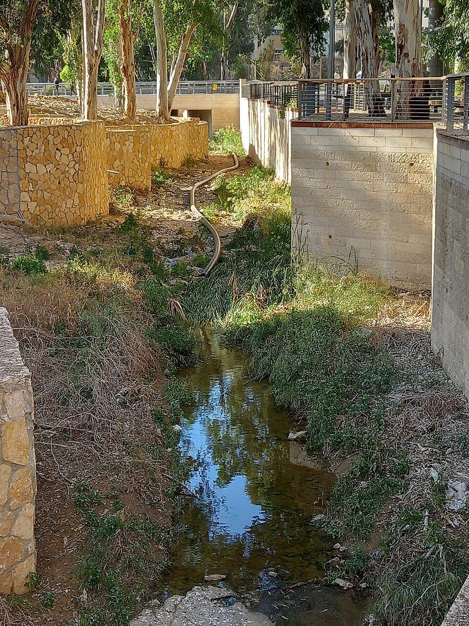 נחל היאס בבאר שבע