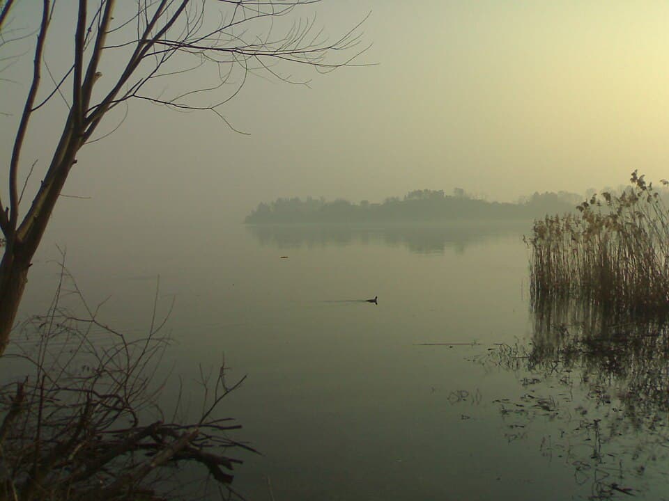 Lago di Varese fotografato dal lungolago di Gavirate